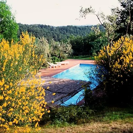 Brucianesi Sleeps 2 Pool Wifi 公寓